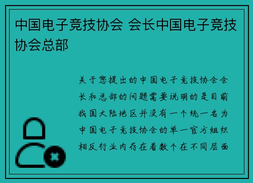 中国电子竞技协会 会长中国电子竞技协会总部